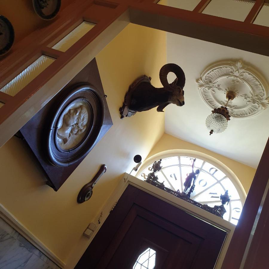 Deventer Heritage En Boutique B&B Museumhuis Huize "De Worp" 外观 照片