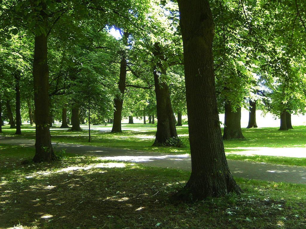 Deventer Heritage En Boutique B&B Museumhuis Huize "De Worp" 外观 照片