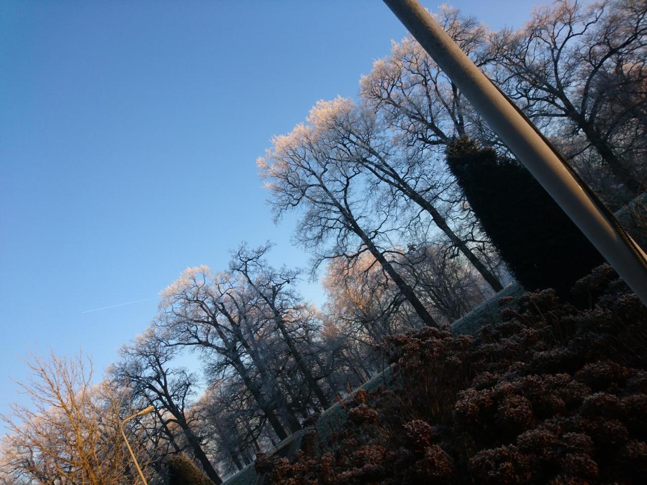Deventer Heritage En Boutique B&B Museumhuis Huize "De Worp" 外观 照片